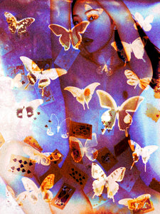 butterfly ace.jpg